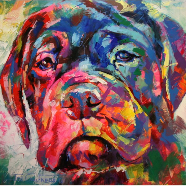 Bull Mastiff Puppy
